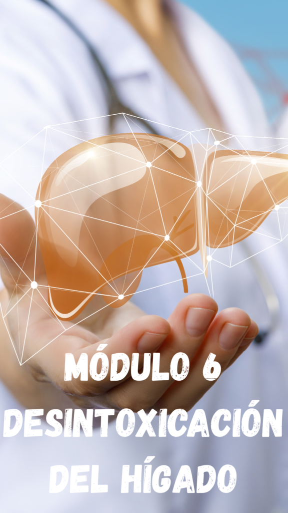 MODULO 1 (19)