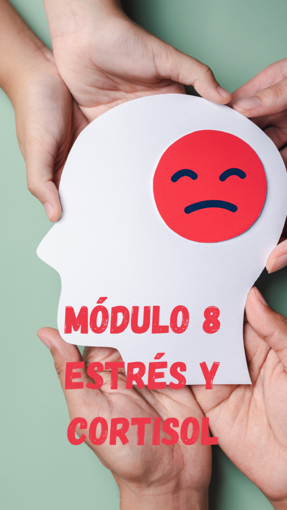 MODULO 1 (21)