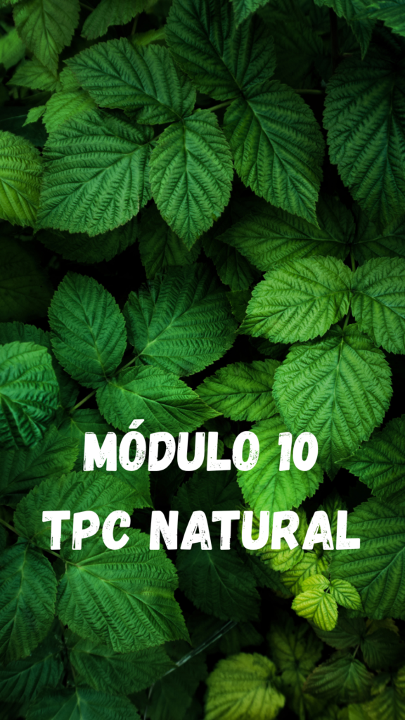 MODULO 1 (23)
