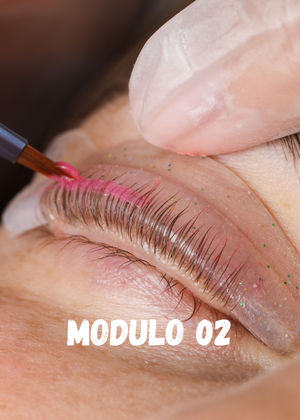 MODULO 08 (2)