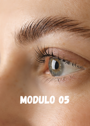 MODULO 08 (5)